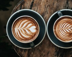 gallery 07 free img